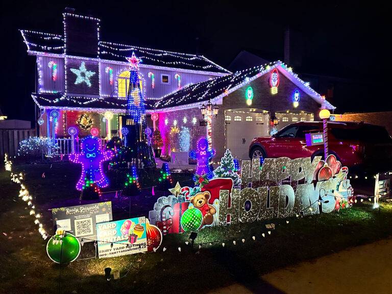 Animated Christmas Light Display