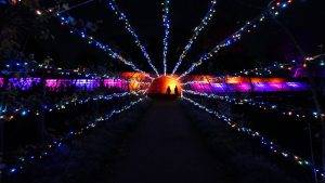Christmas RGB Light Tunnel